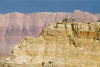 Grand Canyon tours