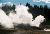 Yellowstone tour