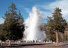 Yellowstone tours