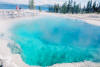 Yellowstone tour