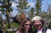 Yellowstone tour